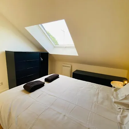 Casa : L'éclat Du Roi René *