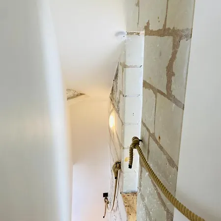 Casa : L'eclat Du Roi Rene