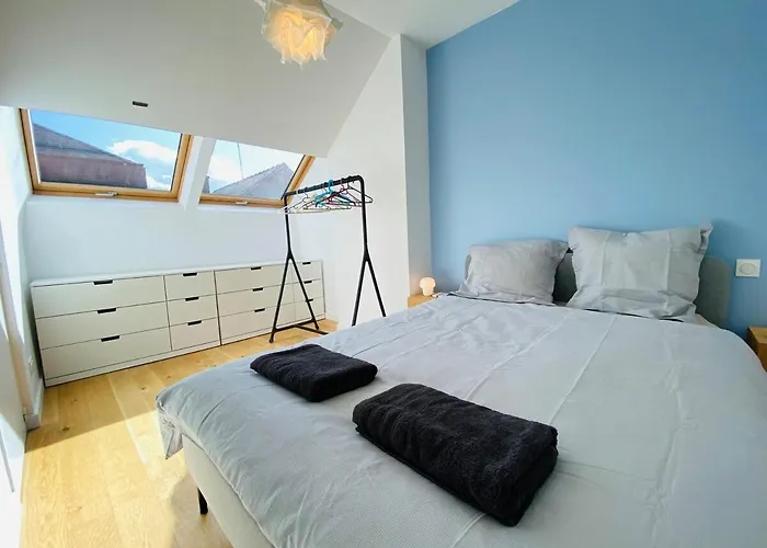 Casa : L'eclat Du Roi Rene * Angers