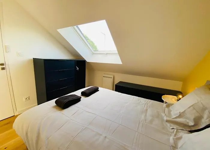 Casa : L'eclat Du Roi Rene *